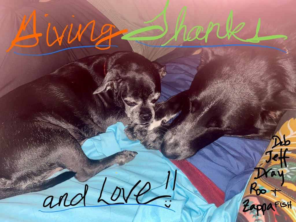 Small dog & head of big dog snuggled together, with writing, “Giving Thanks and Love!” To side are names Deb, Jeff, Dray, Roo, and Zappa